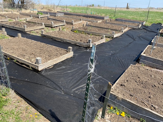 Weed inhibiting fabric stapled in place between some of the raised beds.