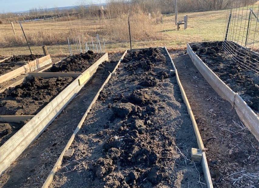 Manure on the garden beds.